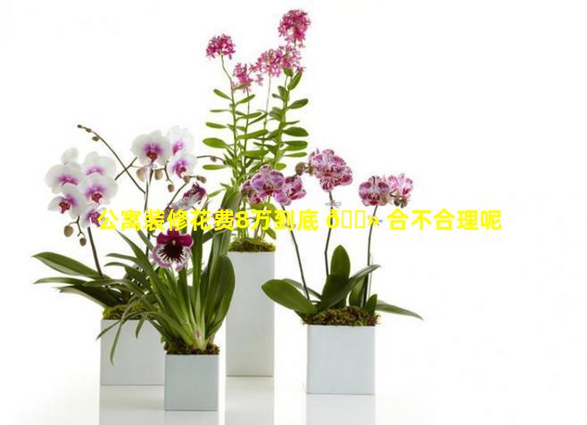 公寓装修花费8万到底 🌻 合不合理呢